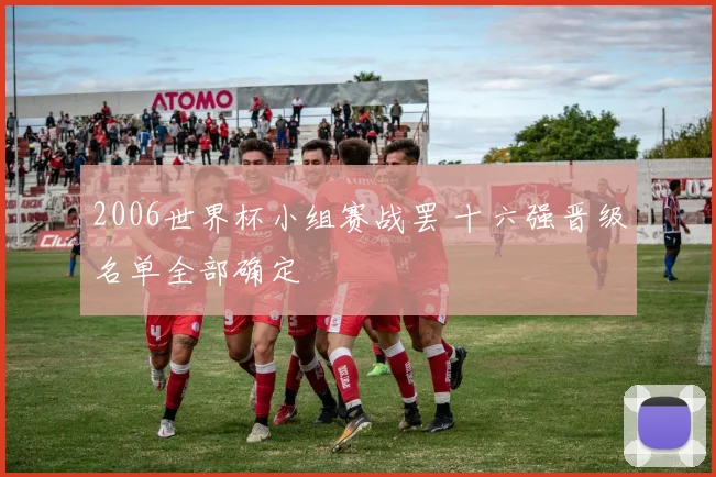 2006世界杯小组赛战罢 十六强晋级名单全部确定