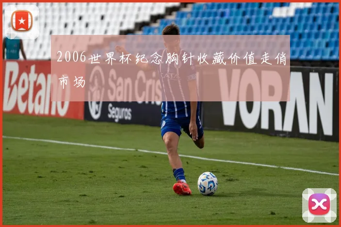 2006世界杯纪念胸针收藏价值走俏市场