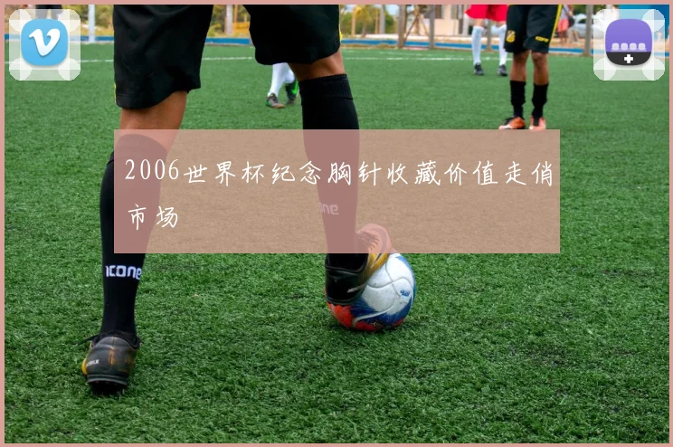 2006世界杯纪念胸针收藏价值走俏市场