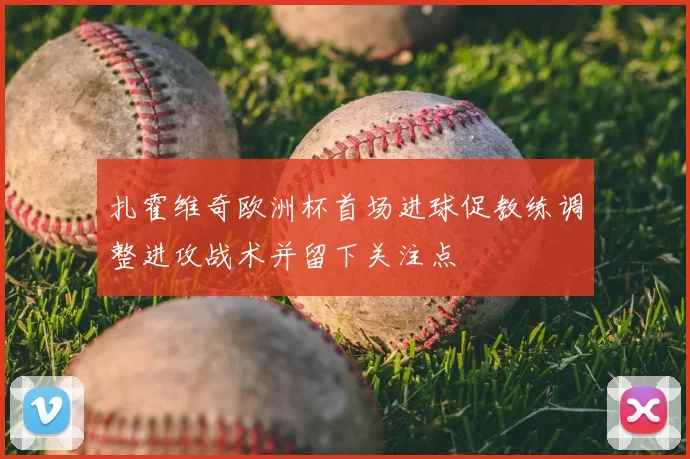 扎霍维奇欧洲杯首场进球促教练调整进攻战术并留下关注点